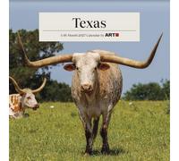 2027 Texas Mini Calendar