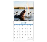 2027 Wall Calendar 12 Month - Funny Hippo Monthly Planner for Home Office