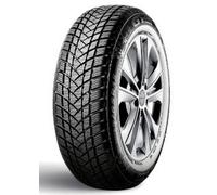 205/55 R16 91H Neumáticos de Invierno GT RADIAL Winterpro 2 Auto