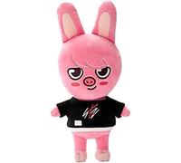 20cm Kpop Stray Kids Peluche Skzoo Cartoon Peluche Nueva Ropa Estilo SKZ Dibujo para los Fans (Dwaekki)