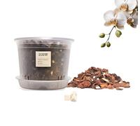 20SW Kit para Trasplantar Orquídeas - Maceta Semitransparente 16 cm con Fondo Elevado y Drenaje - Plato Incluido - 1L Sustrato Premium para Orquídeas - Abono Orgánico de Liberación Lenta