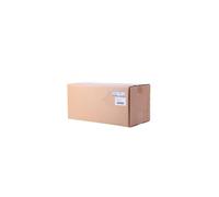 2140018 EPSON AL-C9300N CONJUNCTO FUSOR