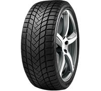 215/50 R17 95H Neumáticos de Invierno LANDSAIL LSWWINTER Auto