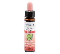 22 Ladrome impaciente 10 ml