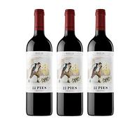 22 Pies Crianza 2020