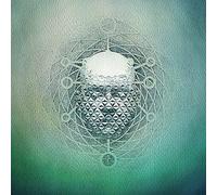 22 - You Are Creating: Limb1 [Vinilo]