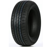 225/55 R16 95V Neumáticos de Verano DOUBLE COIN DC99 Auto