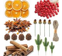 225 piezas de suministros para hacer coronas de Navidad, rodajas de naranja secas y palos de canela, bayas artificiales, agujas de pino verde artificiales, ramas para decoración de Navidad