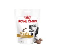 230 g Royal Canin Treats Urinary Snacks para perros