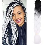 24"(60cm) 1PCS Extensiones Trenzas Africanas de Pelo Sintético Ombre Extensiones de Cabello Trenzado Crochet Braiding Twist Hair Extensions 100g (Negro&Blanco)