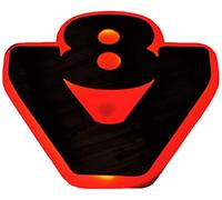 24/7Auto señal de placa LED plateada mate V8 de 24 V para camiones Scania S R G P iluminación roja 540 x 460 mm