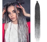 24 Inch Dreadlock Extensions Ombre Grey Soft Crochet Single Ended Dreads 10 Strands Thin Reggae Style Synthetic Braiding Hair 0.6 cm Width Loc Extensions for Women (SE 10 Strands 24inch, 1B/Gray)