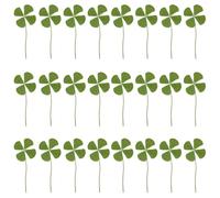 24 Piezas De Flores Secas De Trébol De Cuatro Hojas, Espécimen De Planta De Trébol De Cuatro Hojas, Amuleto De La Suerte De Trébol De Cuatro Hojas, Flores Secas Decorativas DIY
