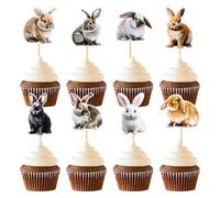 24 piezas patrón conejo cupcake Toppers Happy Birthday Cake Decor para niños Wild Jungle Animal Tema Cumpleaños Fiesta Suministros Celebraciones Fiesta Eventos Baby Shower