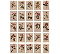 24 Tarjetas postales,Hojas Postales, Postales Vintage, con bonito lenguaje floral impreso en papel de estraza, amor, amistad, vida, motivación, tarjetas de felicitación
