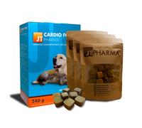 240 g JT Pharma Cardio Fortex suplemento enfermedades cardíacas para perros y gatos