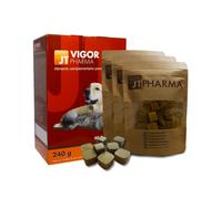 240 g JT Pharma Vigor Pharma snack multivitamínico para perros y gatos