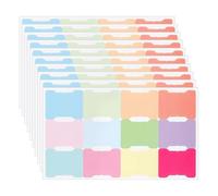 240 pestañas adhesivas de índice coloridas, marcadores de página de libros, pestañas mensuales en blanco, etiquetas adhesivas de colores, banderas de notas, etiquetas autoadhesivas para planificador