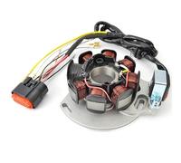2425279031 Encendido Magneto Estator para Gas para Gas EC125 2005-2006 EC200 EC250 EC300 2005-2008 ME250534005 Generador De Encendido Magneto Bobina Estator Bobina Bobina Encendido Estátor