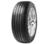 Minerva S 210 245/45R17 99V XL