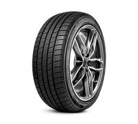 245/45 ZR18 100W Neumáticos Todas las estaciones RADAR Dimax 4 XL