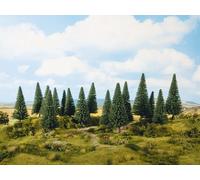 24643 Noch HO N 16 Abetos Alturas Variadas De 4 A 10 Cm.