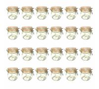 24er Set Bote de Gancho Alambre 500ml Tarro Conservas Frasco Con Cierre Varilla