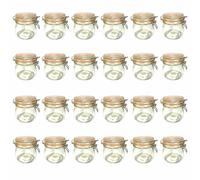 24er Set Bote de Gancho Alambre 500ml Tarro Conservas Frasco Con Cierre Varilla