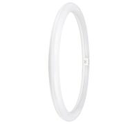 24W LED T9 Circular Tubo, G10q, 6500K, 2900lm, No Regulable - 4099854042584