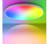 24W Plafon Led Techo Regulable RGB+CCT Lámpara de Techo redonda con Mando a Distancia LED Iluminación de techo 3000K-6500K para dormitorio Cocina Sala de estar Pasillo Balcón Baño Comedor Ø28CM