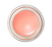 Sombra de Ojos de Larga Duración de MAC - Painterly