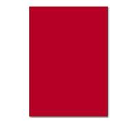 25 hojas de papel DIN A4 planas - Rosa rojizo (Rojo) - 240 g/m² - 21 x 29,7 cm - Hojas para manualidades papel cartulina cartulina fotográfica papel para manualidades cartón - FarbenFroh