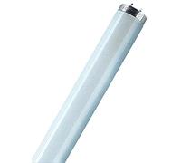 Juego De 25 Lámparas Fluorescentes 36W Blanco Frío 4000K 120cm Osram Lumilux