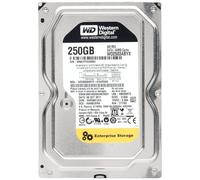 250 GB 7200 RPM 64 MB de cach SATA 3 Gb/s - RE4 - WD2503ABYX