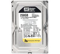 250 GB 7200 RPM 64 MB de cach¨¦ SATA 3Gb / s-RE4 - WD2503ABYX