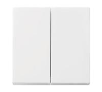 2505-914 Tecla para doble interruptor Busch-balan