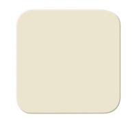 2506-212-507 Tecla blanco - Busch-Duro 2000® SI 4011395041055