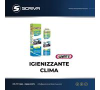 Limpiador del sistema de aire acondicionado 30202 Wynn's