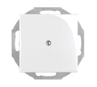 2538-94-507 Tapa ciega blanco alpino - Basic55