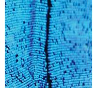 2562 - The New Today [Vinilo]