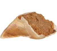 25x Trixie Hueso masticable, paté de carne 25 x 115 g