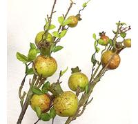 26 Pulgadas Largo Rama de árbol de Verde Granada Artificial,Bayas de Rosa Ramo con Hoja Verde Simulación Fruta Flor Accesorios para Mesa Navidad Centro Pieza Florero Decoración (Verde, 4)