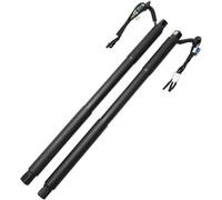 2928900300/2928900400 Soporte Elevación Portón Trasero Eléctrico Para Mercedes Para Benz GLE 320 350 450 C292 2015-2018 Amortiguadores Gas Portón Resorte De Gas Maletero(2 pcs)