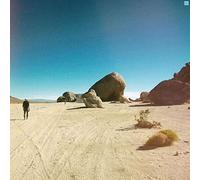 299 - The 299 Game [Vinilo]