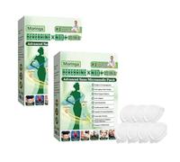 2Box Berberina Parches, Moringa & Berberine 10-IN-1 Advanced Nano Microneedle Patch, 14 Piezas Berberina Para Adelgazar, 2026 Natural Moringa Patch, Para Mujeres, Hombres, Esposas Y Amigos