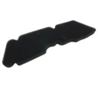 2EXTREME inserto filtro de aire compatible con PIAGGIO TPH 50/Liberty 50 2T | compatible con DERBI Boulevard 50, Zip SSL 25; compatible con APRILIA Sportcity Street 50; compatible con GILERA Runner SP 50