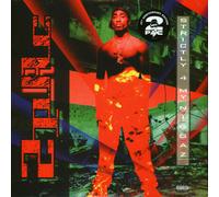 2Pac - Strictly 4 My N.I.G.G.A.Z. (2 LP)