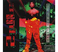 2Pac Strictly 4 My N.I.G.G.A.Z. (CD) Album
