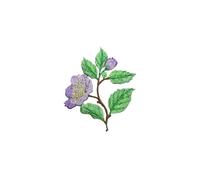 2PC Flower Embroidery Patch Iron On, Elegant Patches For Clothes Bags DIY, Embroidered Stickers For Jacket Jeans Craft(Color 22)