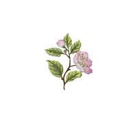 2PC Flower Embroidery Patch Iron On, Elegant Patches For Clothes Bags DIY, Embroidered Stickers For Jacket Jeans Craft(Color 5)